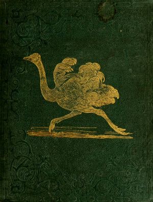 [Gutenberg 61808] • Tales About Birds, Illustrative of Their Nature, Habits, and Instincts